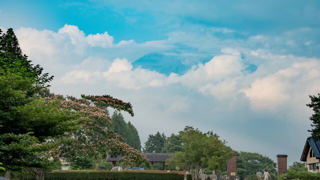 Timelapse of clouds moving around the summit of Mount Fuji with pink silk tree flowers on a blue summer sky in Japan