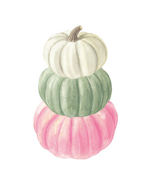 Stacked White, Green, and Pink Pumpkins Watercolor Illustration