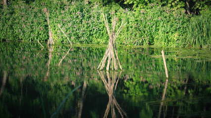 Wooden sticks, river reflection, lake pond, teepee wooden structure in water surrounded by lush greenery and flowers © Adrenaloby