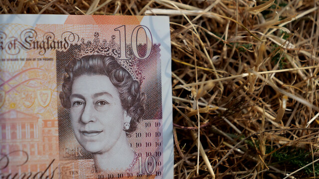 Ten pounds, banknote, money, cash, British currency Bank of England 10 pound note on dry straw background