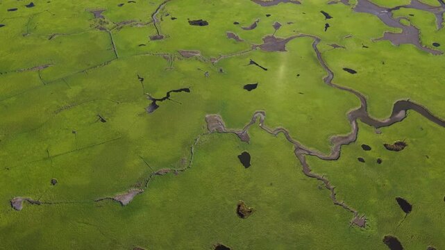Narrow channels meander through a beautiful and extensive salt marsh in Pleasant Bay, Cape Cod. Marshes provide critical habitat for many birds, fish, and marine invertebrates to feed, mate, and nest.