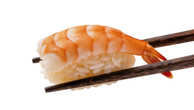 Ebi nigiri sushi with orange shrimp held by dark wooden chopsticks, isolated on transparent background