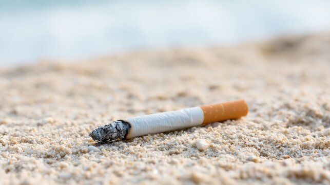 The Cigarette Butt Resting on Quiet Beach Sand Under Blue Sky