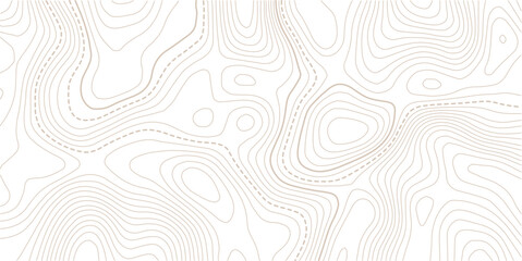 abstract curve line white papercut background. Soft smooth lines curving abstract white paper cut banner.Contour background geographic grid. Vector illustration. © NAZMA