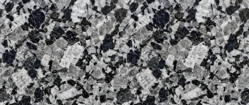 Granite rock texture featuring a dense aggregate of contrasting black biotite spots and large white crystalline feldspar fragments creates a abstract backdrop for architectural designs