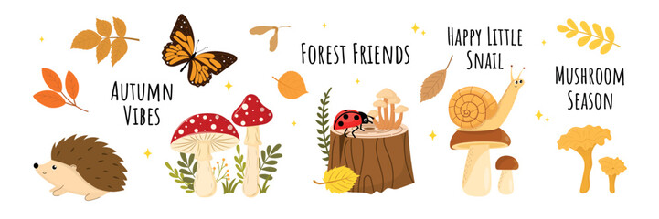 Cute autumn forest elements set with forest friends, hedgehog, snail, ladybug, butterfly, fly agaric and chanterelle mushrooms, fall leaves and lettering quotes. © Nadiia