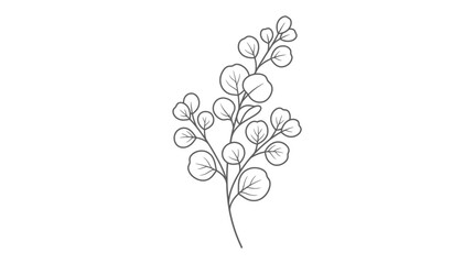 Minimalist line art of a eucalyptus branch © Emas