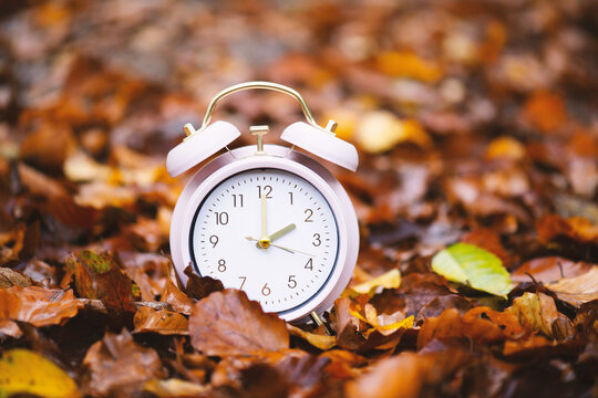 End of daylight saving time in autumn, winter time changeover, alarm clock fall back switch, colorful foliage in forest
