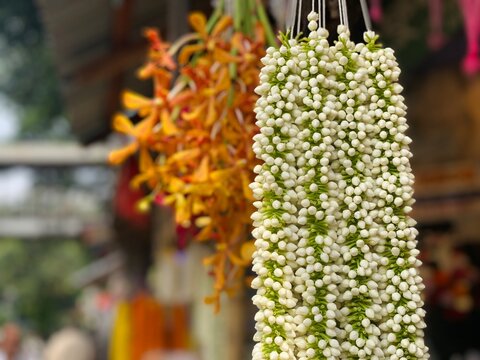 White jasmine flower garland with yellow orchids at street market