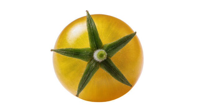 Bright yellow tomato with green stem and leaves, isolated on transparent background