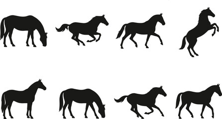 Obraz premium Collection of running, standing, and rearing black horse silhouettes vector illustration on white background