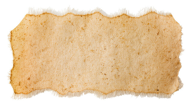 Torn aged parchment paper with frayed edges, isolated on transparent background