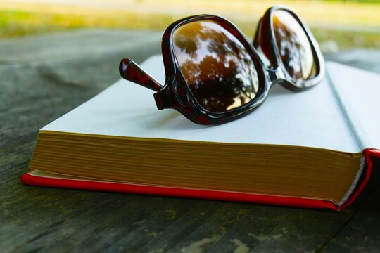 Book with open pages and sunglasses reflecting nature, book and summer accessory background