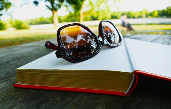 Book with open pages and sunglasses reflecting nature, book and summer accessory background