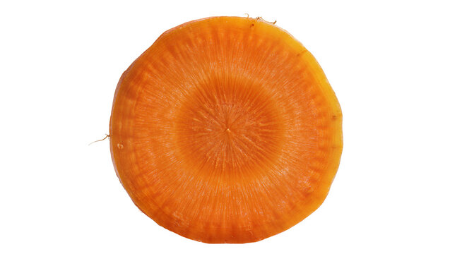 Orange carrot slice with visible rings and texture, isolated on transparent background