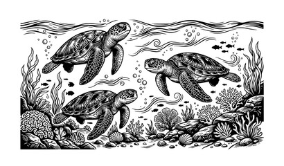 Black and White Three Sea Turtles Underwater Monochrome Vector Illustration Marine Wildlife Design © Anisur