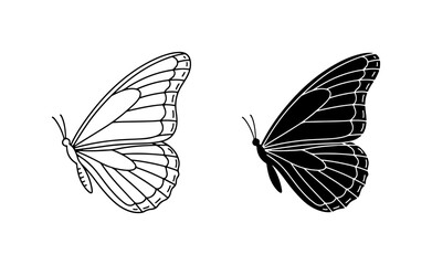 Elegant Butterfly Wing Silhouettes, Vector Art, Delicate Insect Outline, Nature Graphics © Taha