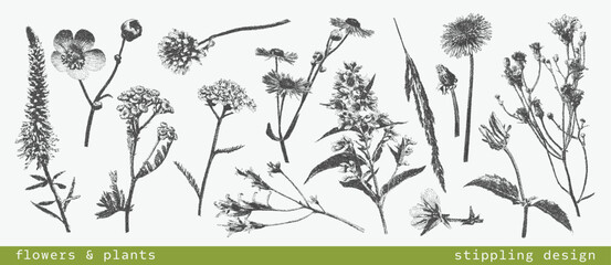 Fototapeta premium Vintage botanical set of various wild flowers and plants with grunge photocopy effect. Retro dotted texture illustrations. Nature floral design. Stippling grainy art in halftone tones for design
