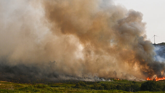 Massive forest fire burning near a wind turbine The Concept of climate change