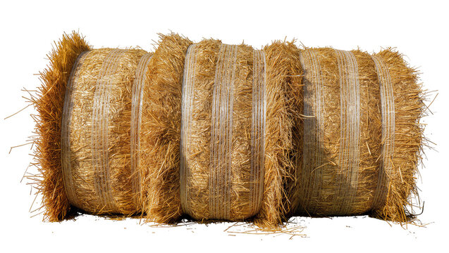 Three large cylindrical straw bales wrapped in plastic, isolated on transparent background