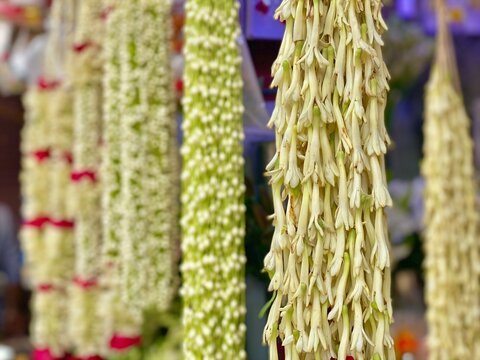 Hanging tuberose flower garland close up at market stall