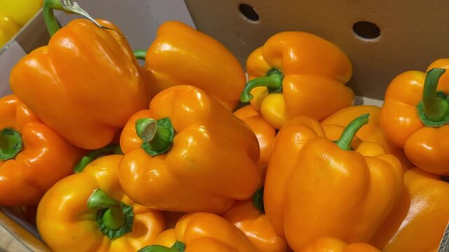 Vibrant orange bell peppers are packed in a large cardboard box, creating an eye catching fresh vegetable display for customers in a grocery store or farmers market. Close up.
