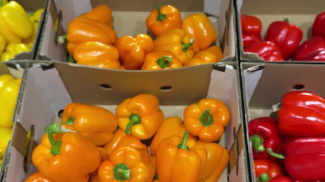 Red, orange and yellow bell peppers are neatly arranged in separate cardboard boxes, creating a colorful fresh vegetable display for customers in a supermarket or local produce market. Close up.