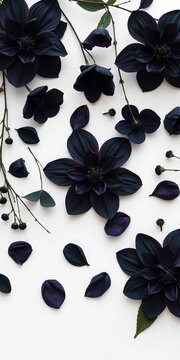 Elegant black floral arrangements with delicate petals and leaves against a white background, leaves, botanical illustration