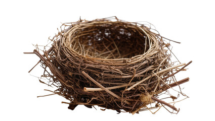Natural twig bird nest empty and rustic, isolated on transparent background