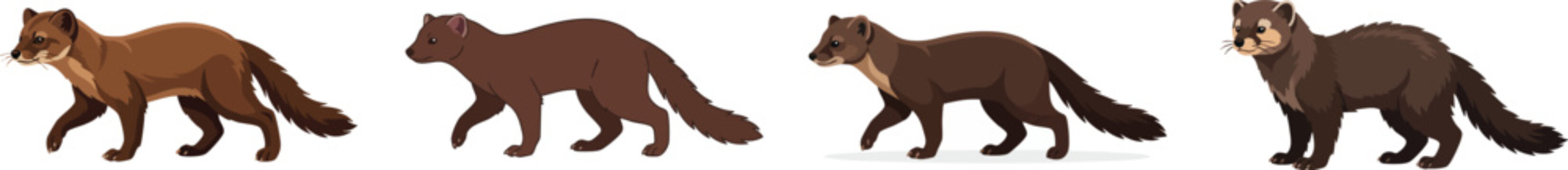 Set a flat vector illustration of a brown fisher cat or Martes pennanti isolated on a plain white background.