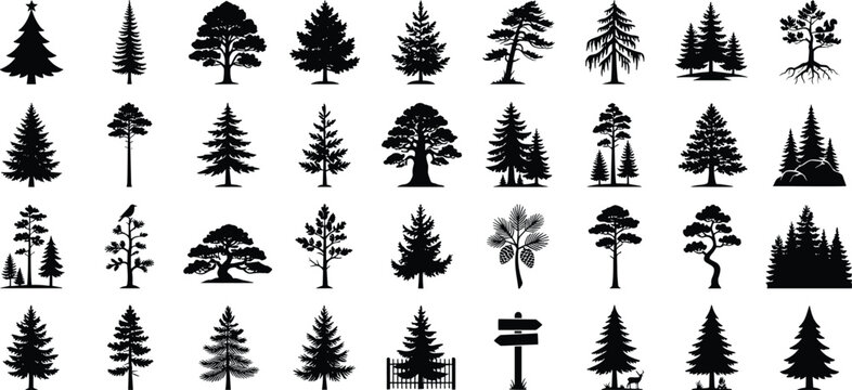 Tree and pine silhouette icon set forest fir spruce oak outdoor nature landscape vector black collection.