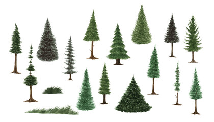 Obraz premium Watercolor green pine tree forest set. Isolated for New year, Christmas invitation, greeting card, wrapping paper, poster