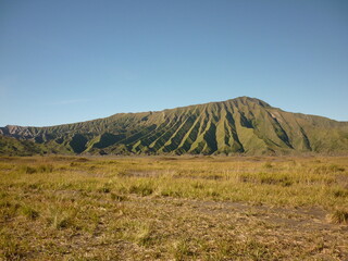 Obraz premium Grassland by Mount Bromo