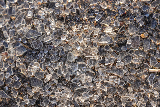 Close up of shattered glass fragments scattered on the ground reflecting warm sunlight. Concept accident, damage, safety, hazard, crime scene, security, insurance and abstract texture background.