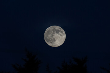 Moon on the night sky © Laurie