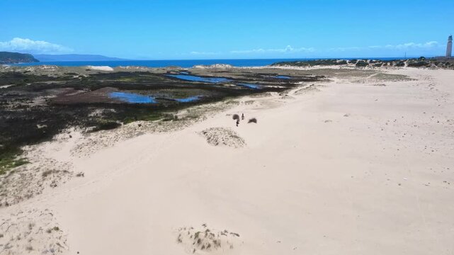 Ca&ntilde;os de Meca, Cabo de Trafalgar en Zahora 