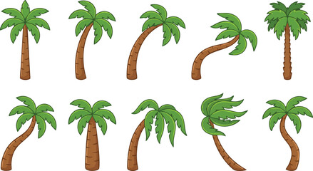 Palm trees collection, vector illustration with green foliage and brown trunks © MD