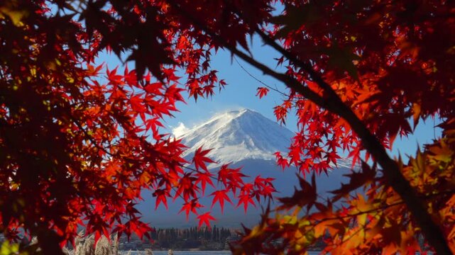 秋の河口湖と富士山