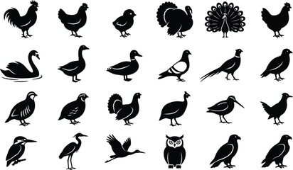 Obraz premium Collection of various farm and wild bird icons presented in a clean black and white silhouette