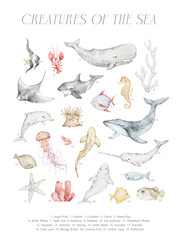 Watercolor poster with wildlife ocean animals, sea creatures. Cachalot, angel fish, lobster, manta ray, orca, humpback whale, dolphin, jellyfish, shark, narwhal, starfish, puffer fish © Kate K.