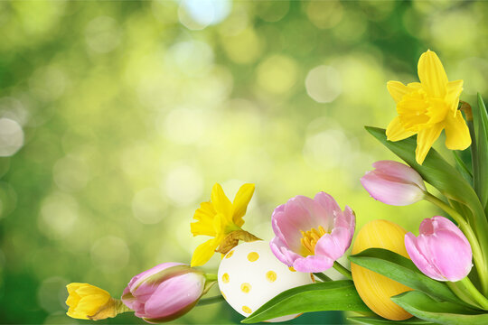 Pink tulip flowers and yellow narcissus in a floral corner arrangement with Easter eggs on green bokeh