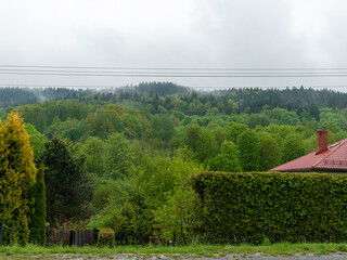 Rain clouds and low mist cover a densely forested foothill landscape in southern Poland. Mixed deciduous and coniferous woodland surrounds rural houses, hedges and gardens, creating a fresh green coun © Volha