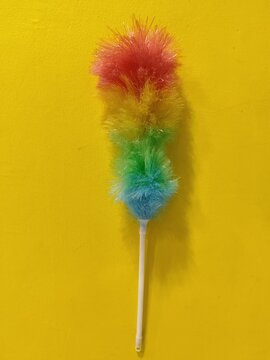 colorful feather duster