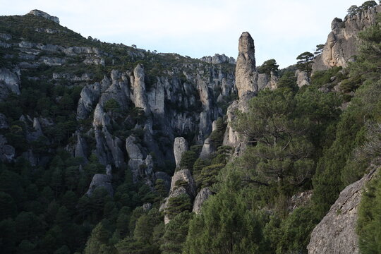 Limestone rock towers and green trees on hillside in Els Ports, Spain