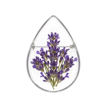 Teardrop clear resin brooch with cluster of dried lavender stems, transparent botanical pin isolated on transparent