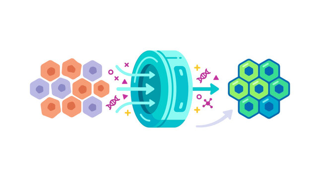 Colorful hexagonal data processing machine illustration.
