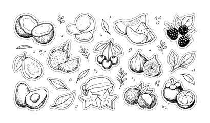 Obraz premium Botanical Hand Drawn Exotic Fruit Sticker Collection with Coconut Lemon Dragon Fruit and Organic Food Sketches