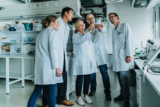 Scientists examining human brain slide while standing at laboratory