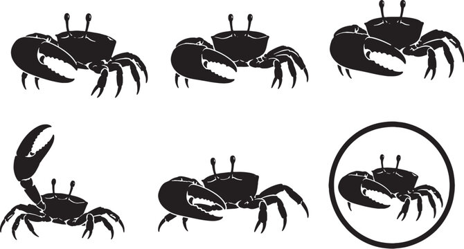 Fiddler Crab Silhouette Icon Set Black Vector Crustacean Wildlife Collection