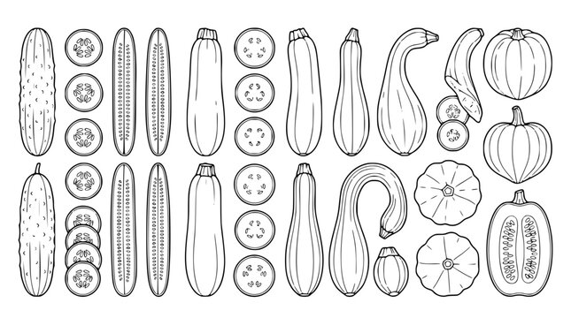 Set of hand-drawn vegetable line art icons including cucumbers zucchinis and squashes